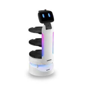 QUEEN BOT