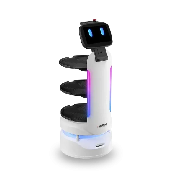 queen bot ica robotics